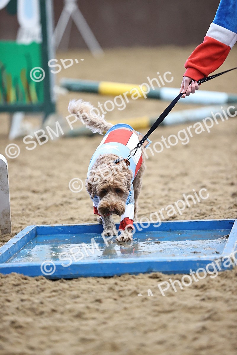 SBM_001612 - Class 3 - Horse & Hound 60cm