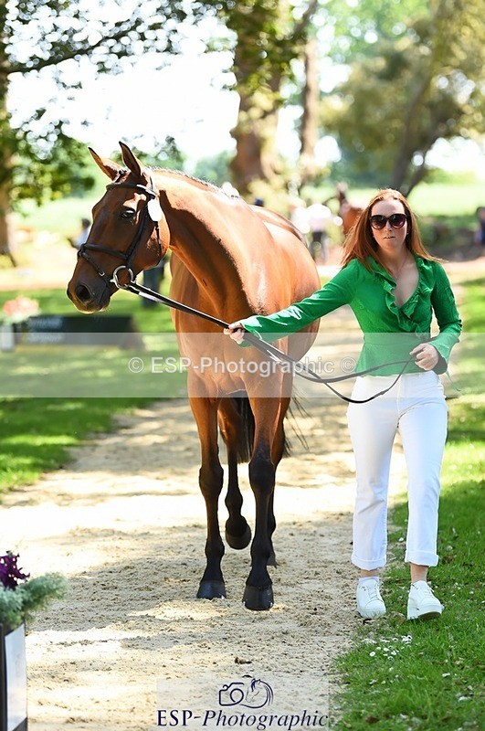 230524-150126-00019 - 303-JESMOND_RENARD-Susie_Berry-WEDTrotUp+DR