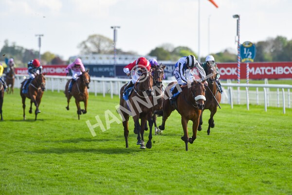 yr13052021r7-31 - Race 7 4.50pm Autohorn Stakes