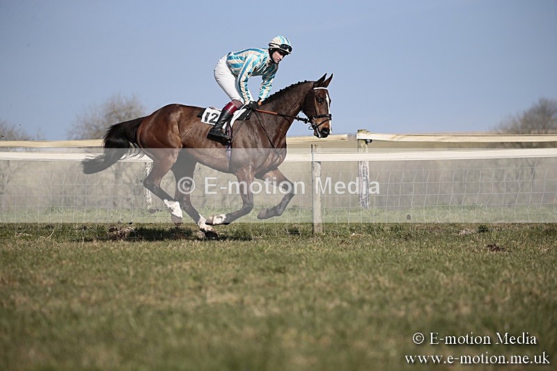 PtP 240218 231 - Vine & Craven Hunt Point-to-Point Barbury racecourse 24/02/18