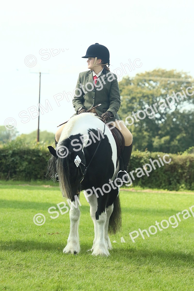 SBM_67568 - S56 - Coloured Pony Ridden