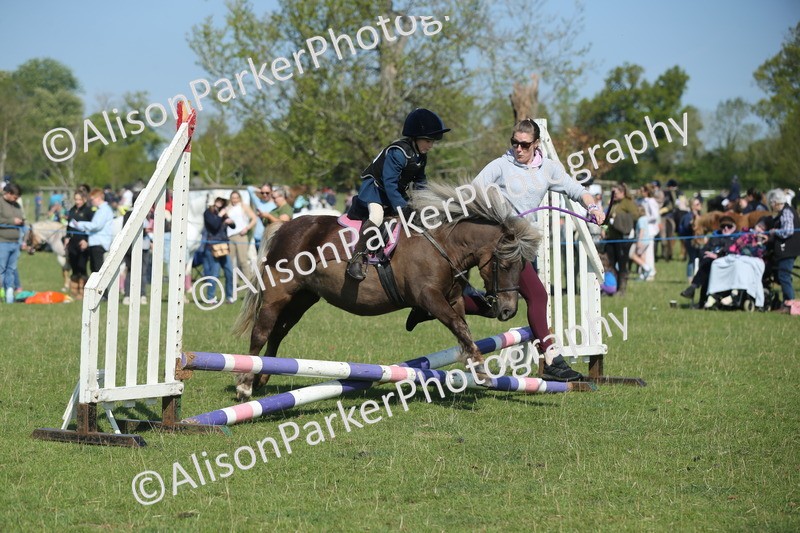 20250427-1078 - Class 1 - Mini Jumping Lead Rein or Assisted