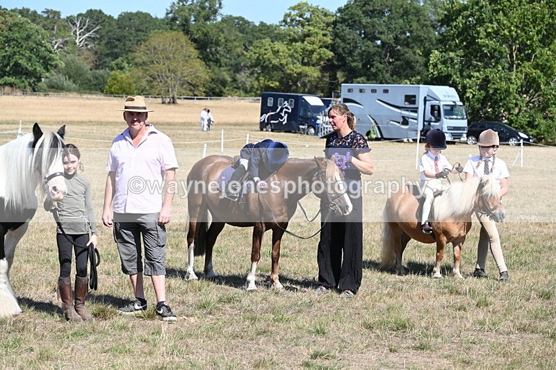 WJ6_9348 - Class 40 Cheekiest Pony/Horse