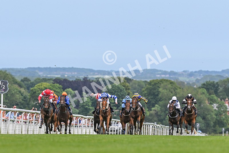 250624-Race 1-Lady Bouquet-8853 - Race 1