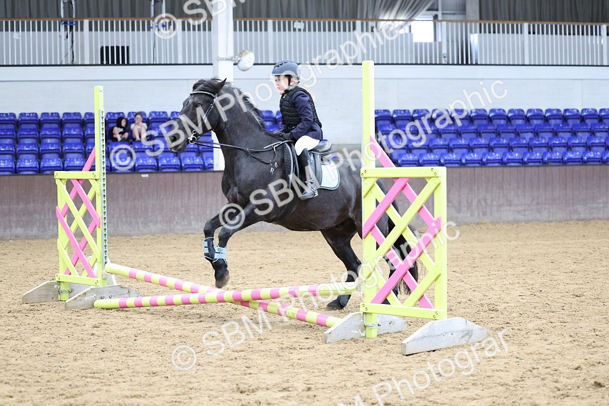 SBM_006887 - Class 1 - 40cm showjumping