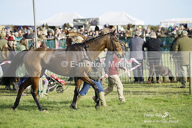 PtP 300122 291 - South Dorset Hunt - Point-to-Point Races 30/01/2022