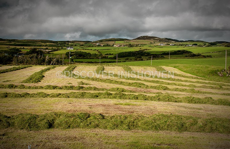 Last cut - Inishowen peninsula