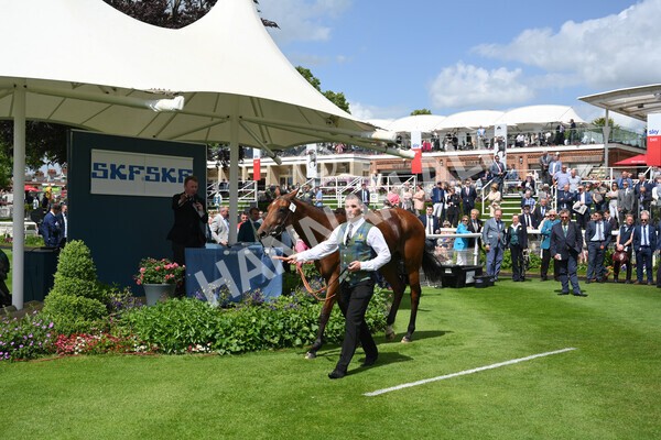 yr10062022r2-61 - Race 2 2.30pm SKF Rous Selling Stakes