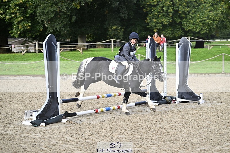 251005A-090332-02921 - Cls 02 GR 50cm