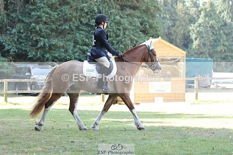 250823A-110258-27612 - Arena C