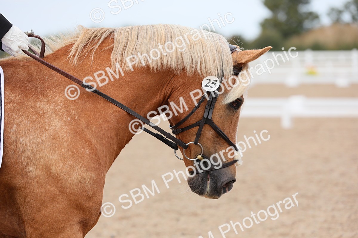 SBM_05738 - Class 32 Novice 1