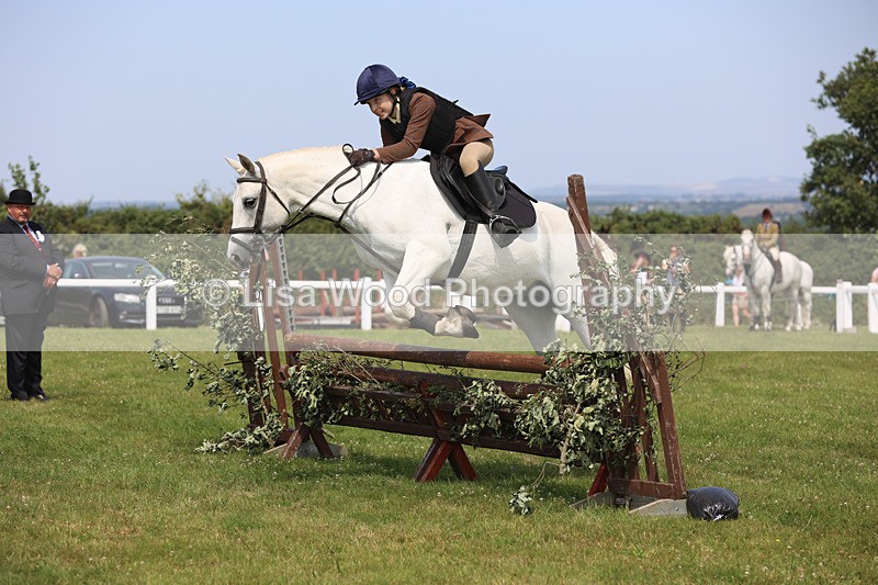 JPP_3616 - Class 23: Working Hunter 80cm