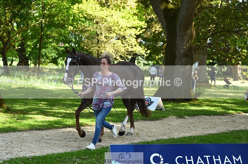 230524-154254-00449 - 376-DIRECT_BALLYTARSNA_DUCAREL-Jodie_Amos-WEDTrotUp+DR