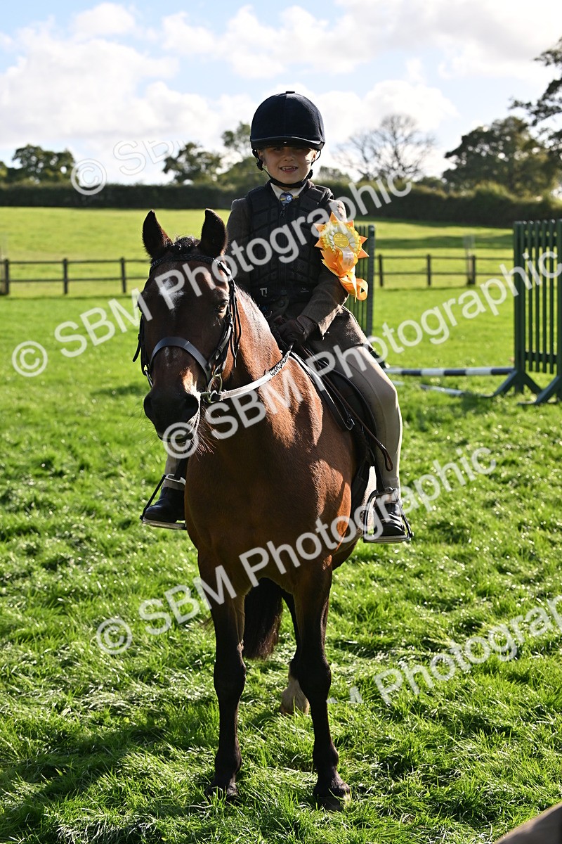 SBM_51289 - S22 - First Ridden show and show Hunter Pony