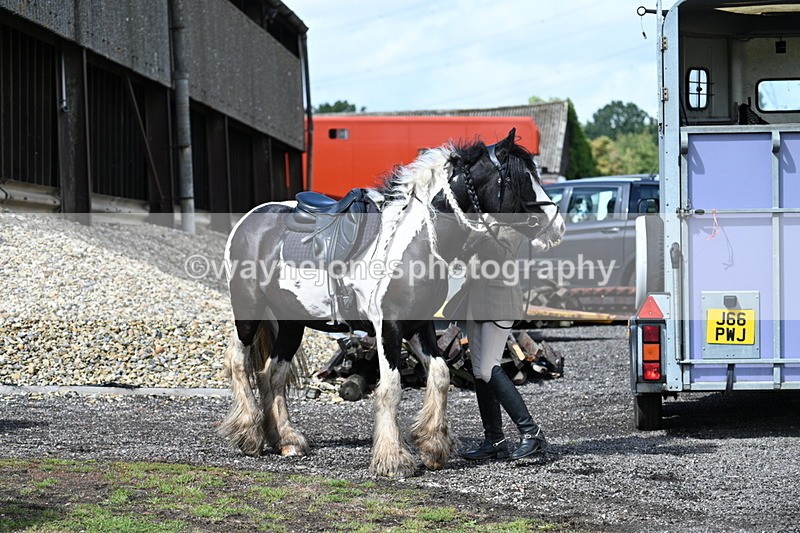 WJ7_7441 - Berks & Bucks at Blandy’s Farm 31-08-25