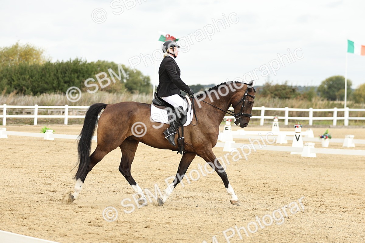 SBM_006932 - Class 21 - Medium 5 Bronze - 10.04-10.52