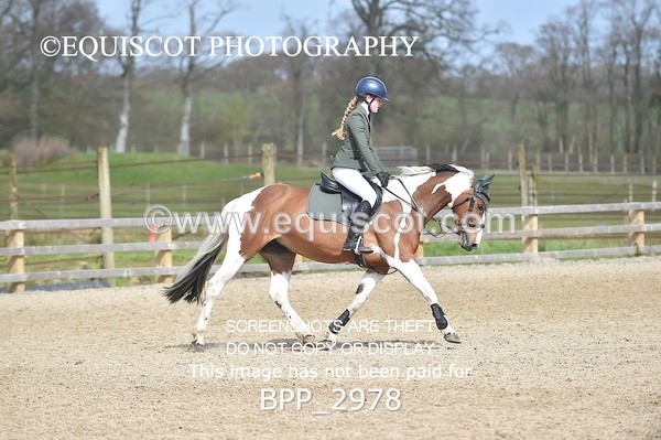 BPP_2978 - CLASS 4 STX-UK Pony BritiNovice / 0.80m Open