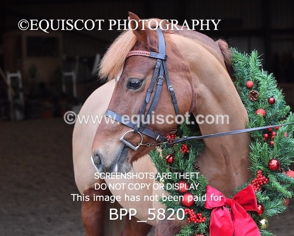 BPP_5820 - Sarah Page