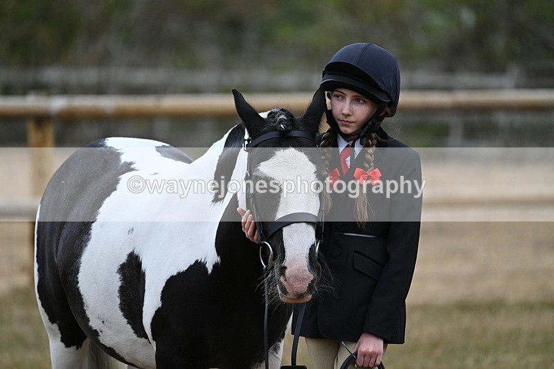 WJ7_8537 - Class 4 Prettiest Mare up to 14.2hh