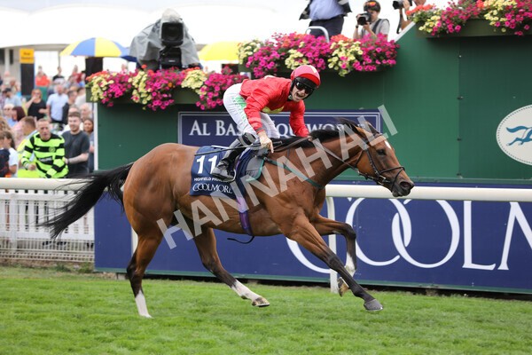 yr19082022r4-73 - Race 4 3.35pm Coolmore Wootton Bassett Nunthorpe Stakes (British Champion Series Race)