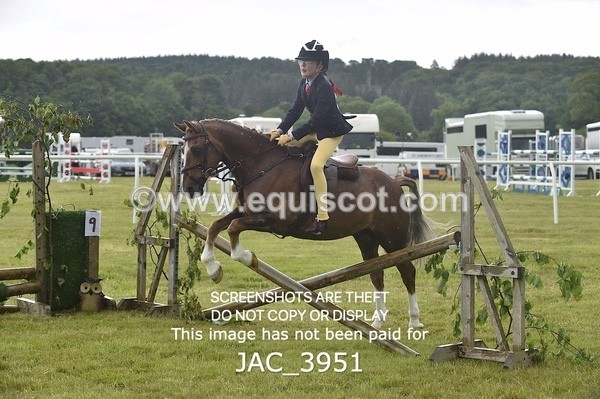 JAC_3951 - 55cm WORKING HUNTER