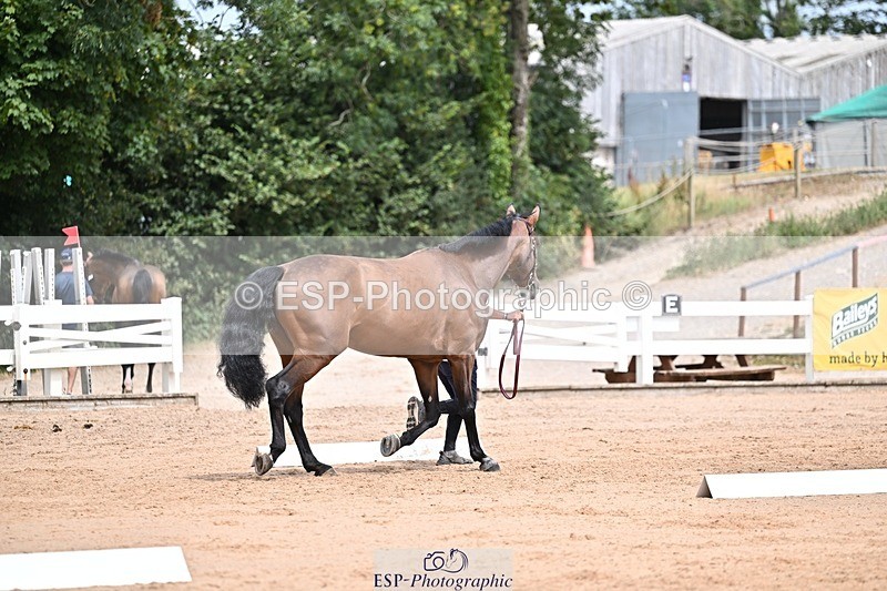 250716-132727-00527 - Trot Up 12.30 to 1.30