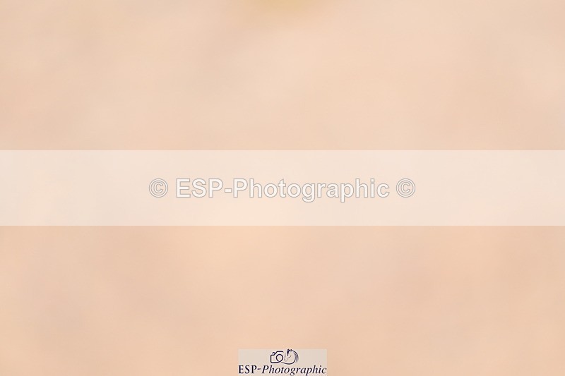 241012A-123520-01237 - 80cm