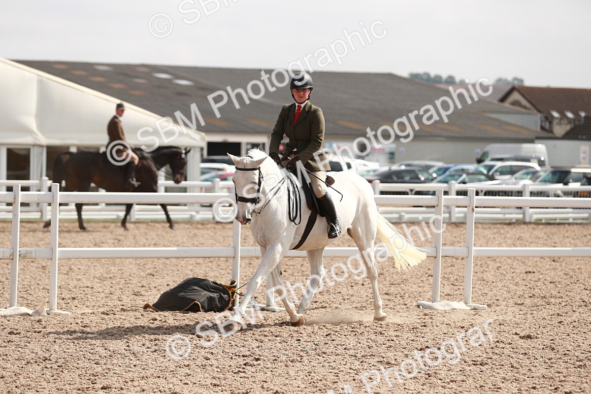 SBM_14866 - Class 212 Ridden Hunter - Small