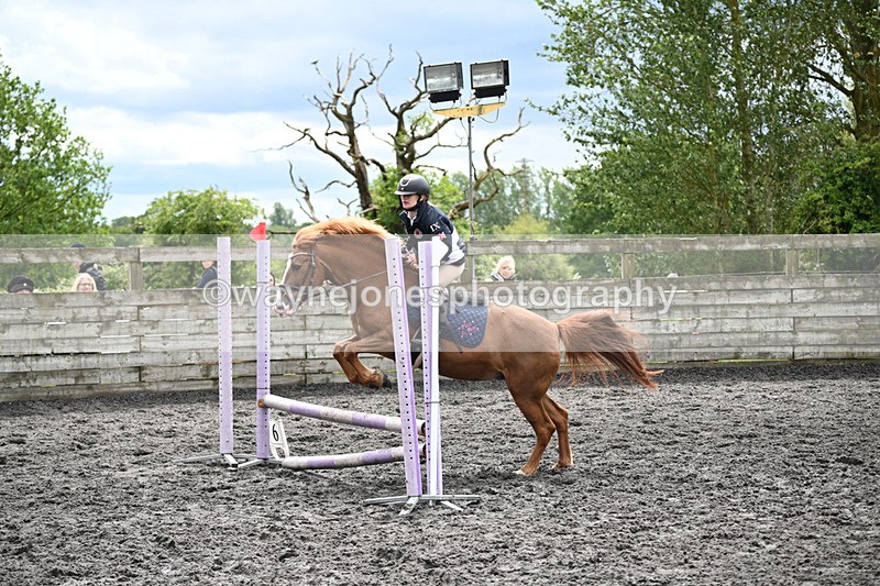 WJ6_0174 - Class 13 Novice 60cm