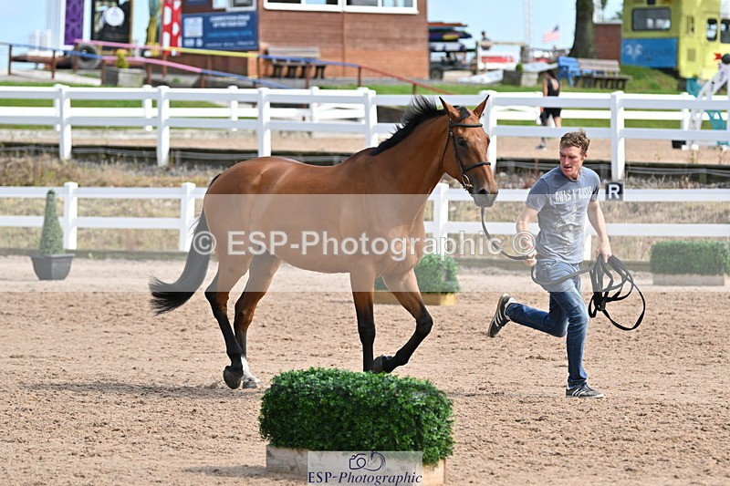 240717A-161440-03372 - Trot Up 4pm to 5pm