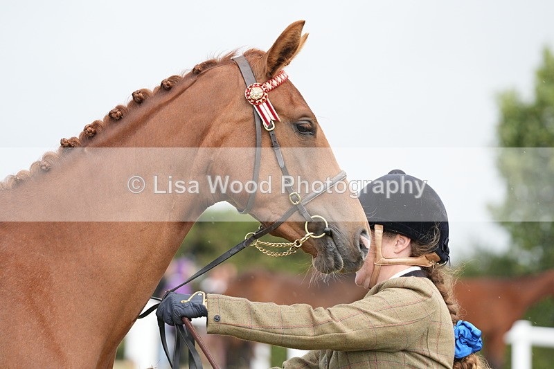 DSC06186 - Class 54: Hunter/Riding Horse/Hack 1 & 2 yr olds