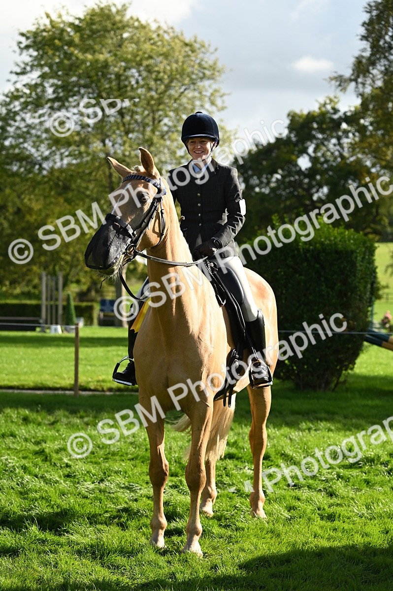 SBM_26479 - S6 - Novice & newcomer Ridden horse
