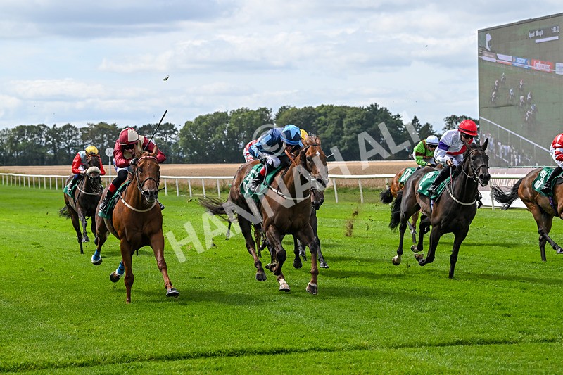 080825-Race 1-Golden Prosperity-1749 - Race 1