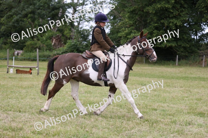 20260614-3064 - Class 22 - Open Working Hunter