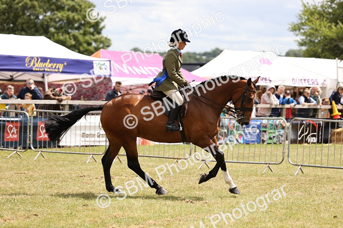 SBM_14800 - Class 88-89 - LIHS BSHA Rising Star of Ridden Hunter Type