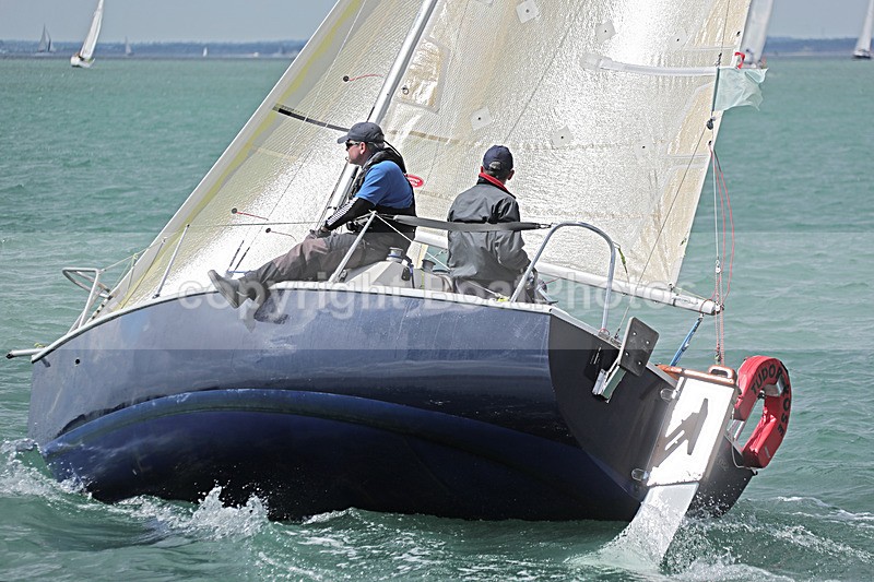 170701 TUDOR ROSE GBR1380R AE1I5952_Edit - 170701 TUDOR ROSE GBR1380R
