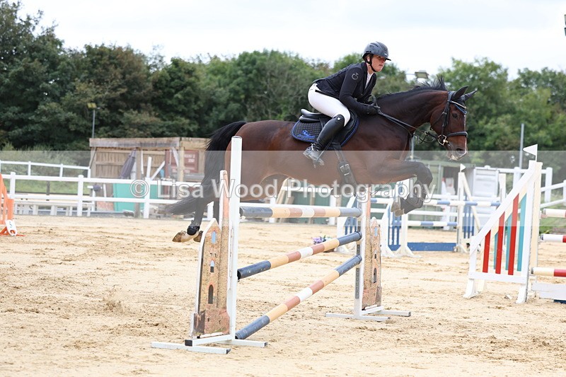 3E7A3391 - Class 9: Senior Foxhunter/1.20 open