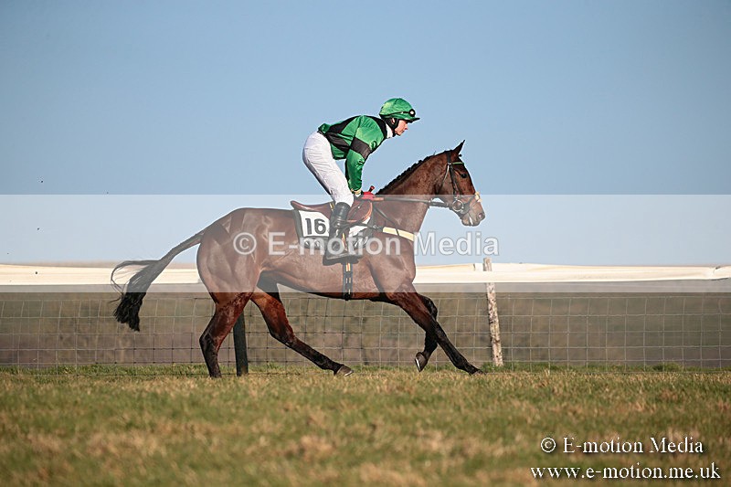 PtP 230219 504 - Vine & Craven Point-To-Point - Barbury 23/02/19