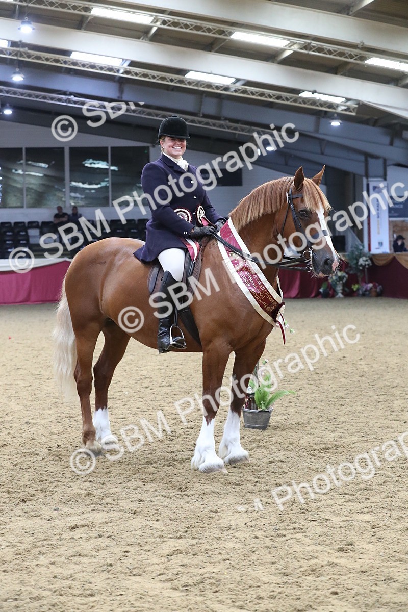 SBM_16538 - Class 502 M&M Ridden Supreme Final