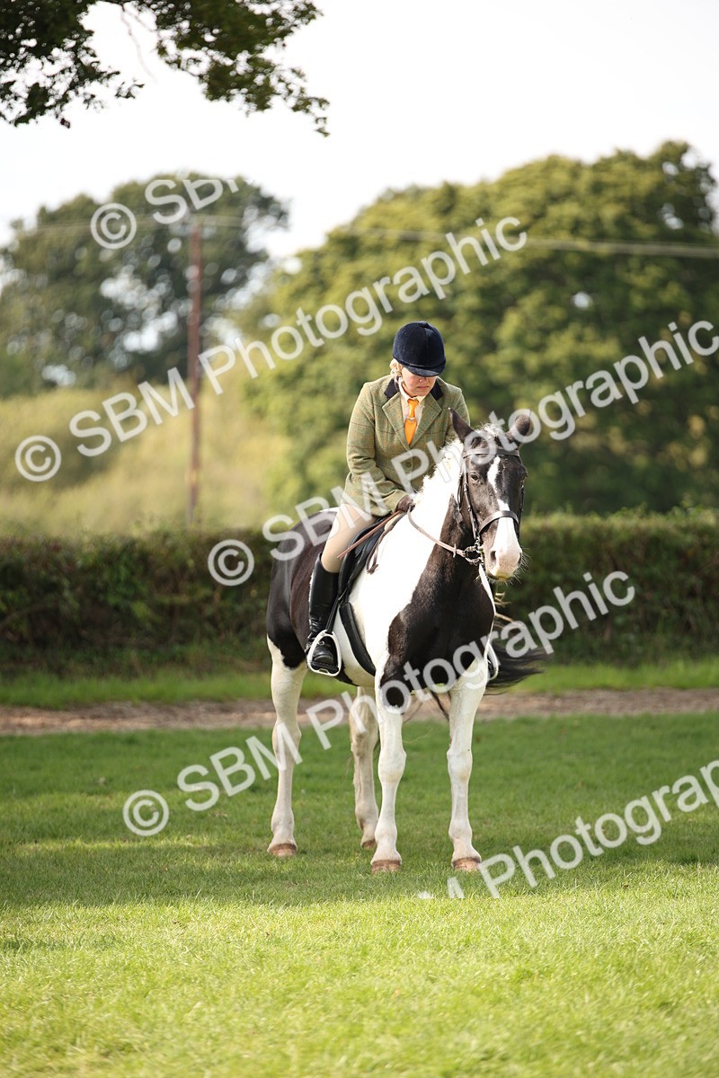 SBM_70134 - S65 - Piebald & Skewbald Horse Ridden
