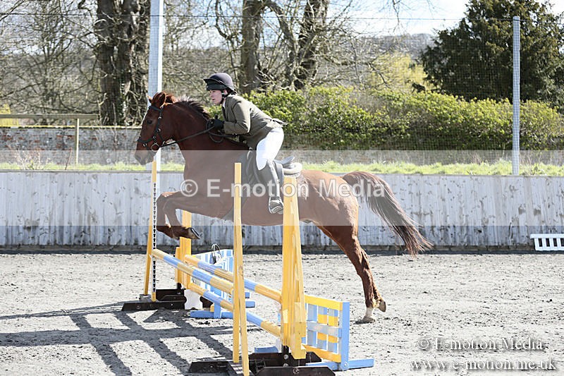 BVRC SJ 170319 224 - Bourne Valley Riding Club Showjumping 17/03/19