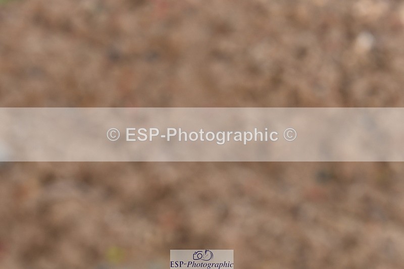 231104A-113325-00235 - Cls 7 Elementary 43