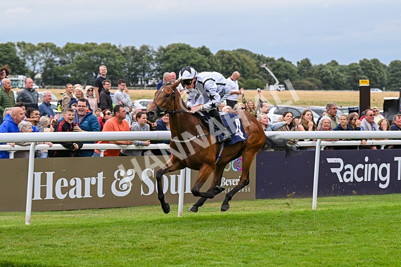 150824-Race 2-Greek Gift-7672 - Race 2