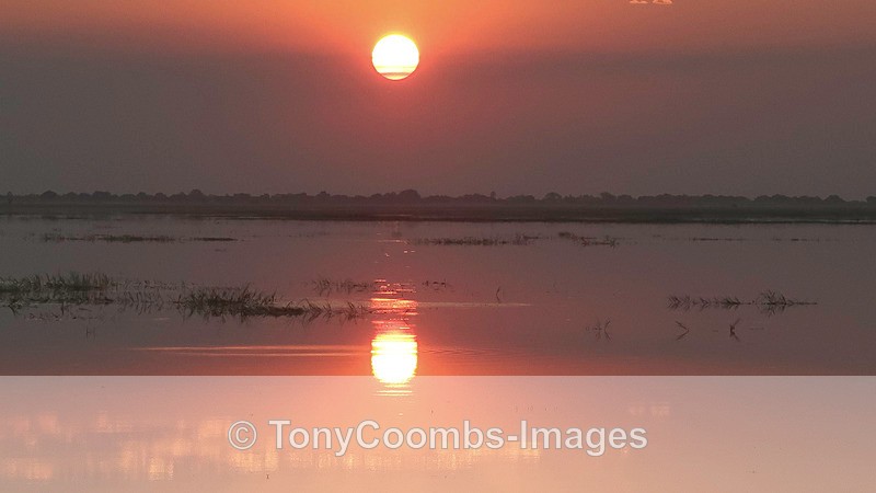 Chobe Sunset - Botswana ~ Various Other