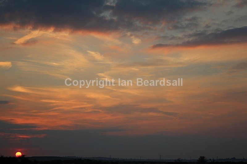 IMG_4329 - Essex