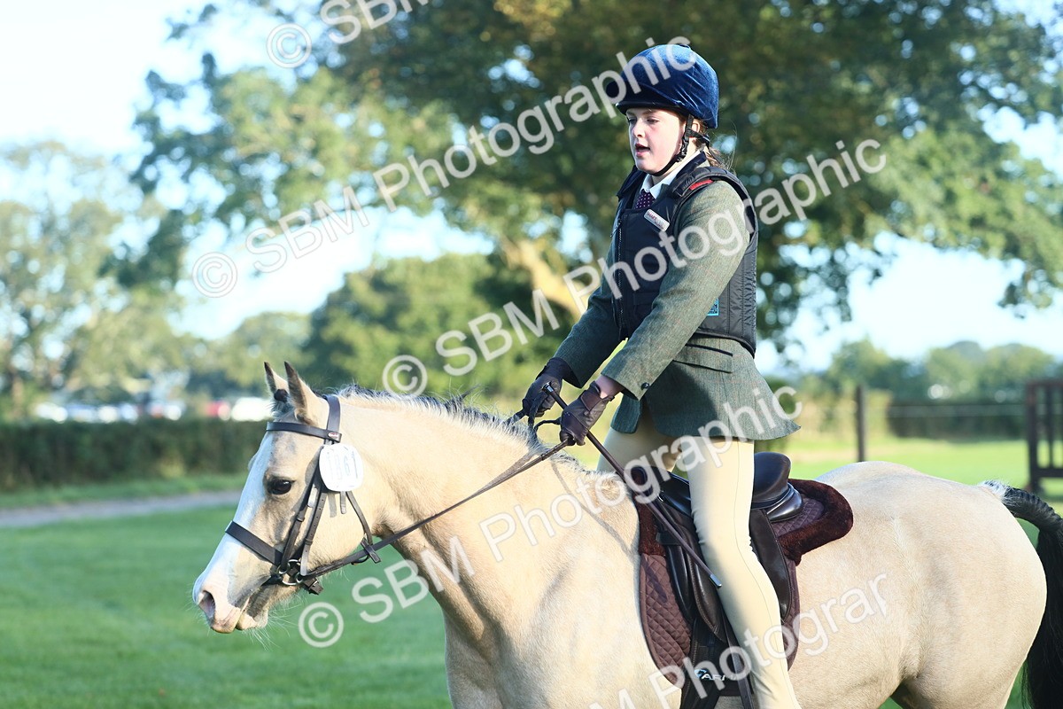 SBM_37261 - S29 - Novice & Newcomers Working Hunter Pony