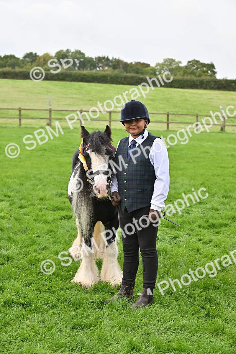 SBM_56996 - S45 - Coloured Pony In Hand