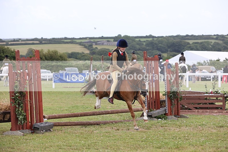 JPP_1758 - Class 18: Tiny Tots Working Hunter Pony