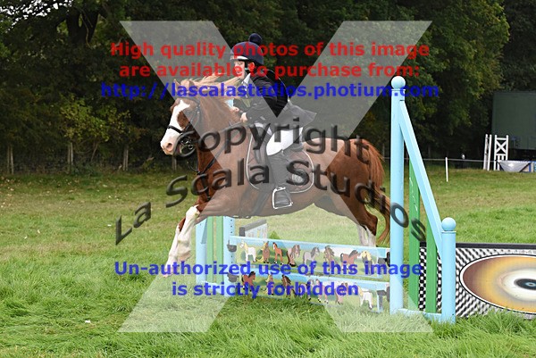 ESK_0184 - Class 2   60cm  Part 2