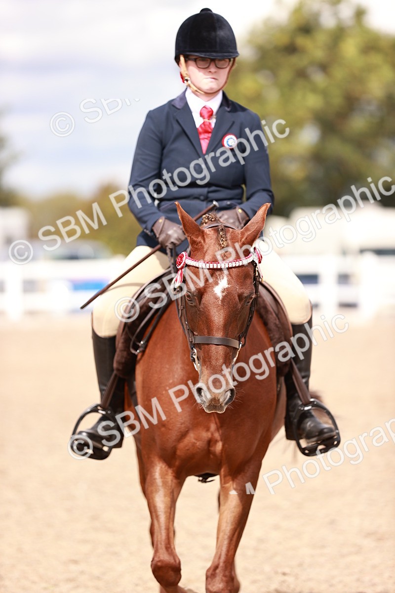 SBM_14280 - Class 408 - Grassroots Ridden -Walk & Trot
